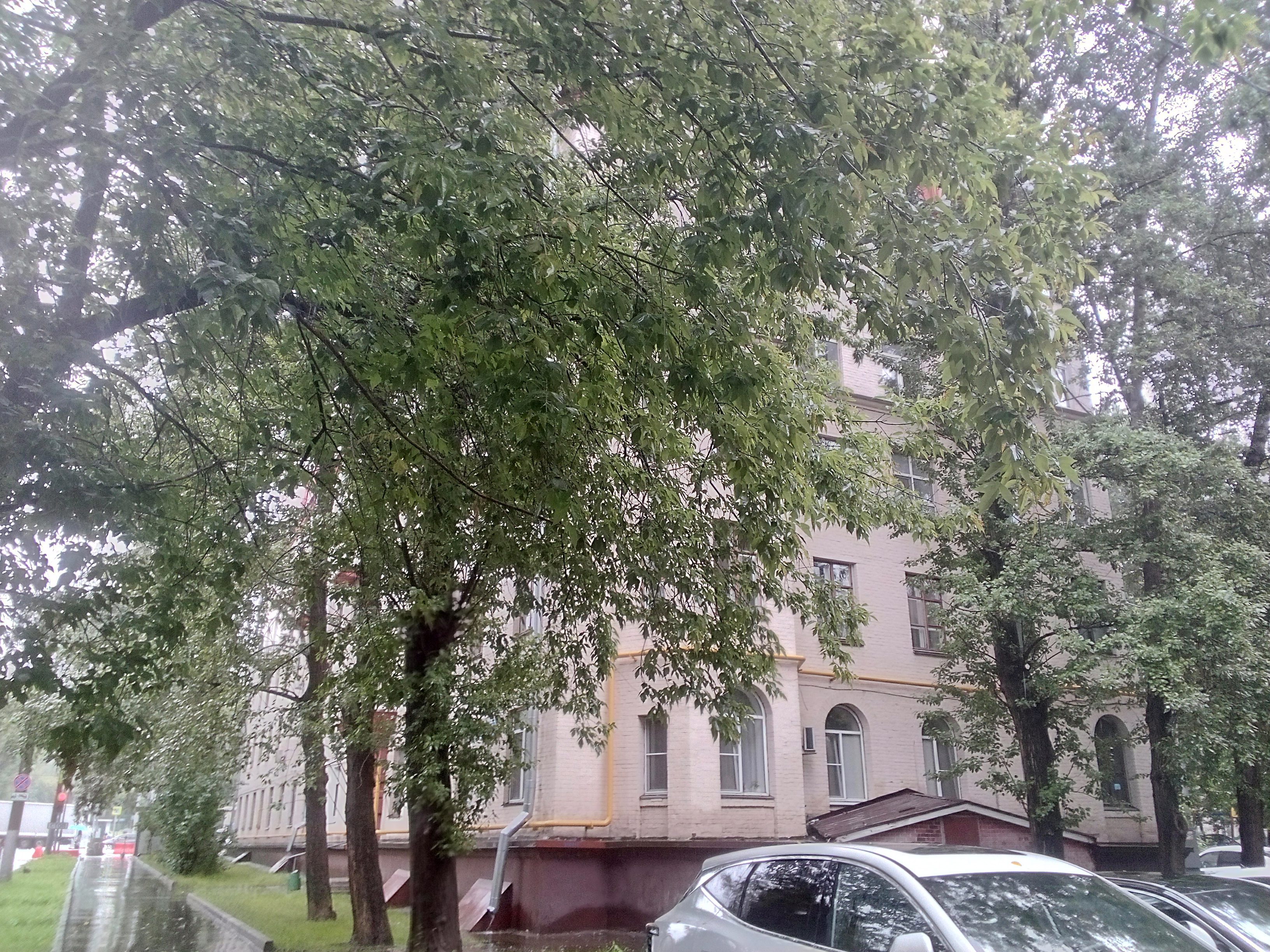 ГП16963602.Нежилое помещение.Общий фасад здания.jpg