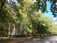 ГП16963954.Квартира.Общий фасад здания_9.jpg