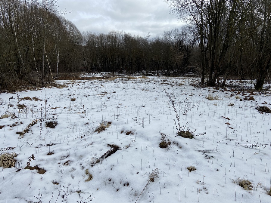 ГП16976117.Некапитальный объект.Общий вид объекта_10.jpg