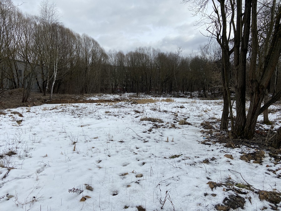 ГП16976117.Некапитальный объект.Общий вид объекта_10.jpg