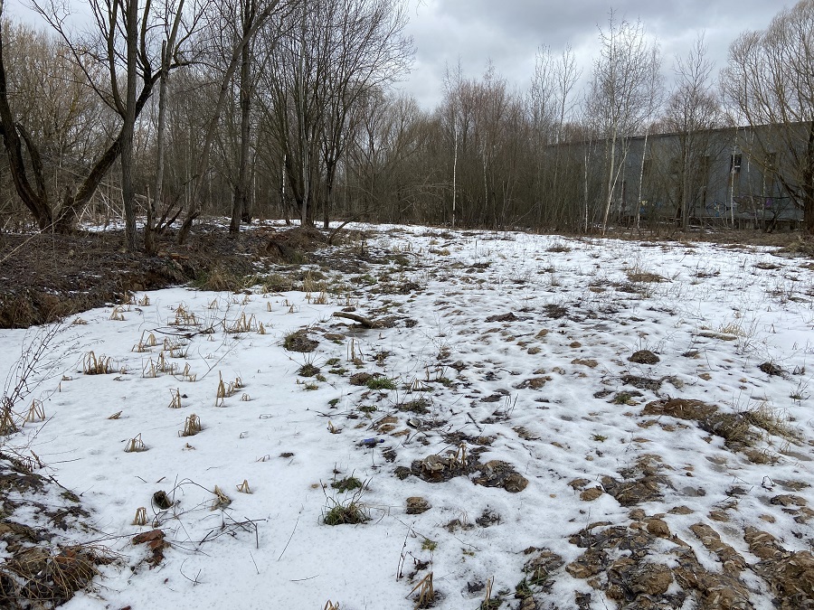 ГП16976117.Некапитальный объект.Общий вид объекта_6.jpg