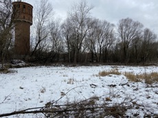 ГП16976117.Некапитальный объект.Общий вид объекта_2.jpg