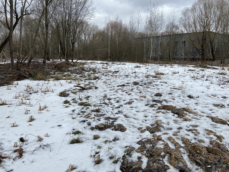 ГП16976117.Некапитальный объект.Общий вид объекта_8.jpg