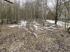 ГП16976117.Некапитальный объект.Общий вид объекта_10.jpg