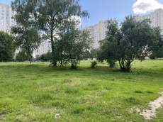 ГП16976122.Некапитальный объект.Общий вид объекта.jpg