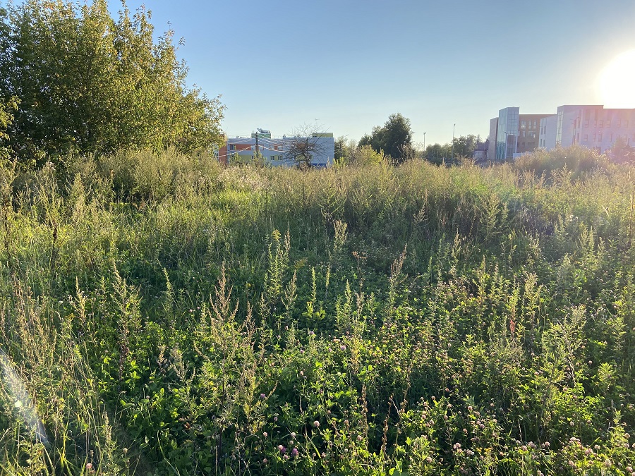 ГП16976123.Некапитальный объект.Общий вид объекта_7.jpeg