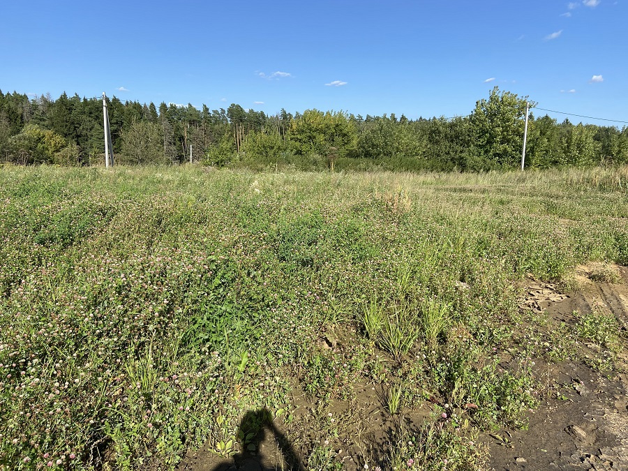 ГП16976123.Некапитальный объект.Общий вид объекта_4.jpeg