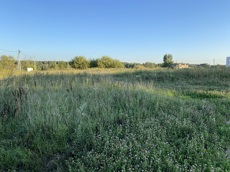 ГП16976123.Некапитальный объект.Общий вид объекта_8.jpeg