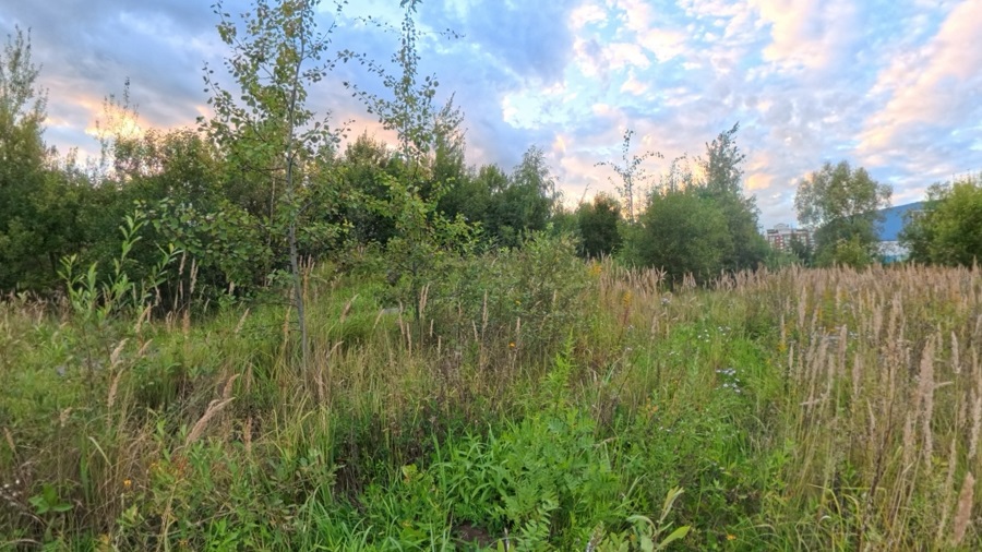 ГП16976124.Некапитальный объект.Общий вид объекта_4.jpg