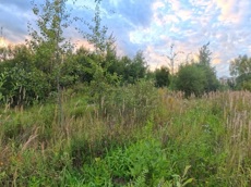 ГП16976124.Некапитальный объект.Общий вид объекта_4.jpg