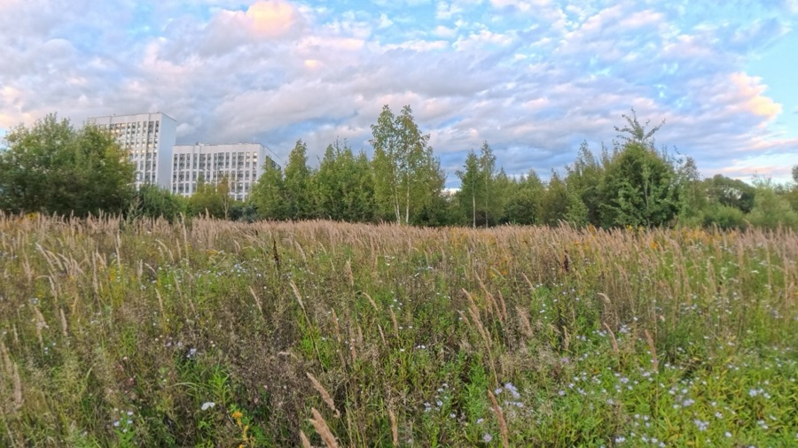 ГП16976124.Некапитальный объект.Общий вид объекта_5.jpg