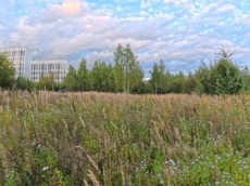 ГП16976124.Некапитальный объект.Общий вид объекта_5.jpg