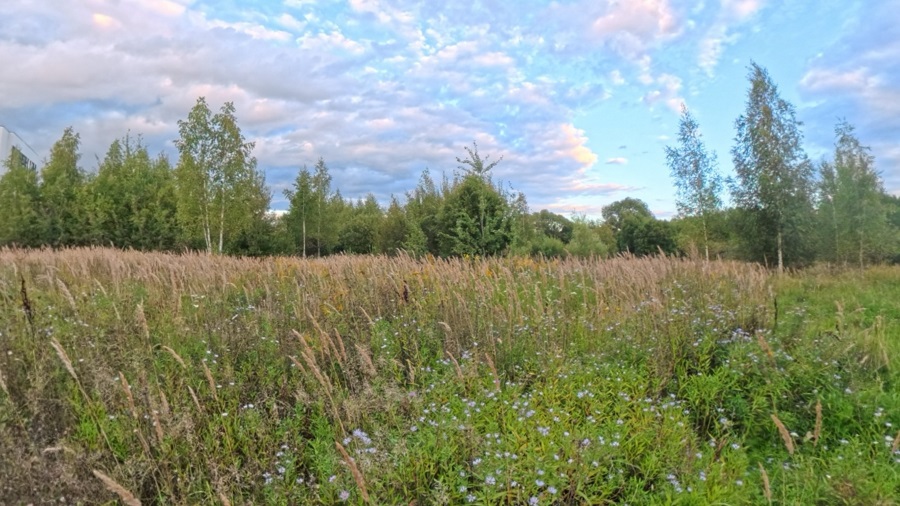 ГП16976124.Некапитальный объект.Общий вид объекта_3.jpg