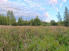 ГП16976124.Некапитальный объект.Общий вид объекта_3.jpg