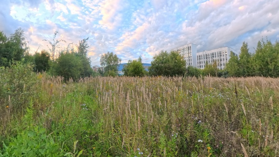 ГП16976124.Некапитальный объект.Общий вид объекта_2.jpg