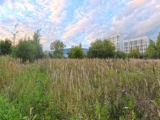 ГП16976124.Некапитальный объект.Общий вид объекта_2.jpg