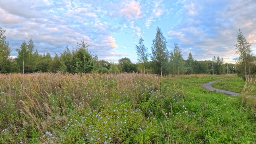 ГП16976124.Некапитальный объект.Общий вид объекта.jpg