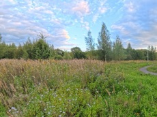 ГП16976124.Некапитальный объект.Общий вид объекта.jpg