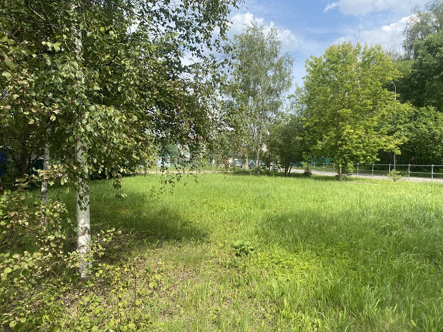 ГП16976125.Некапитальный объект.Общий вид объекта_10.jpg