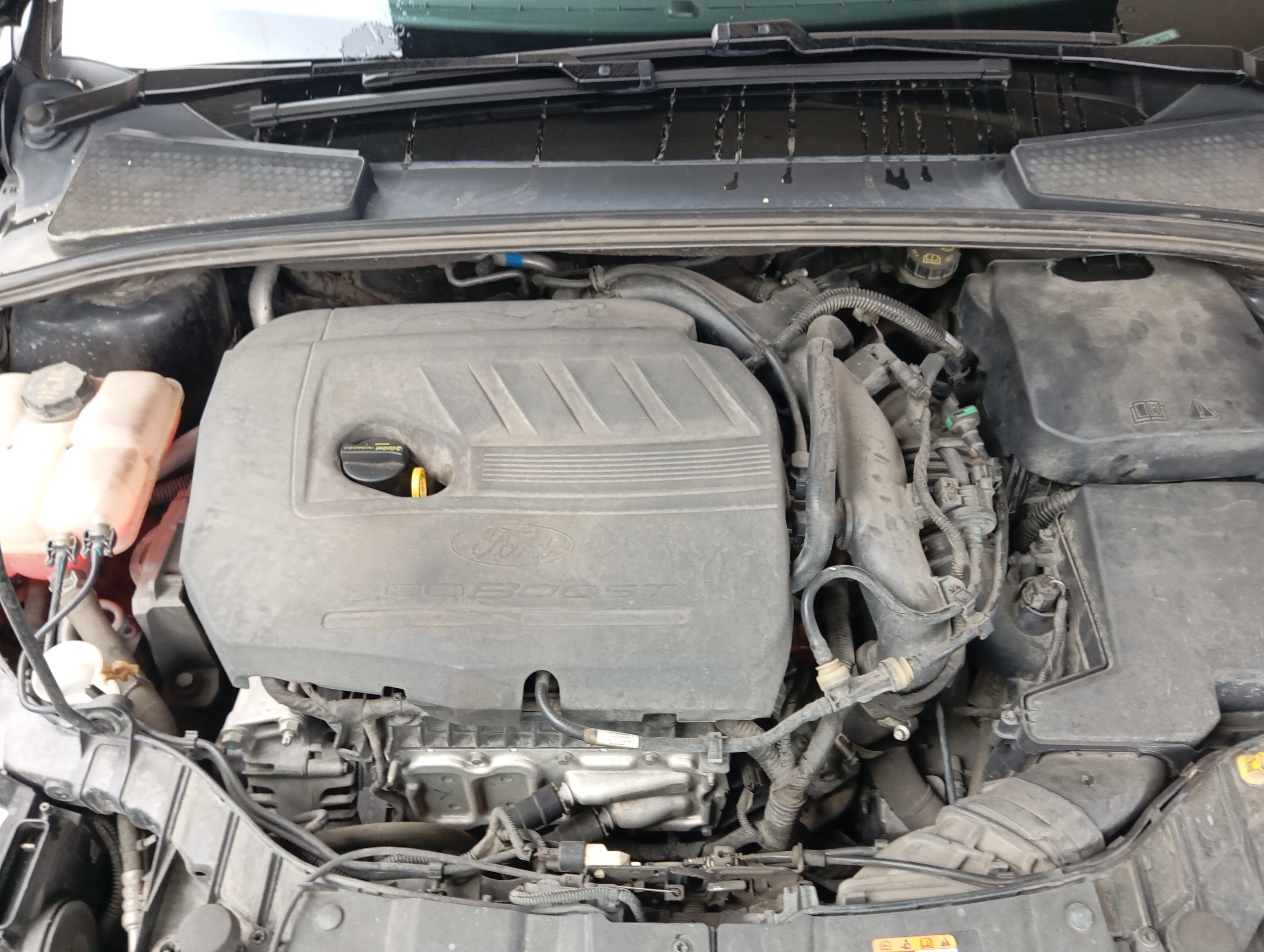 ГП16976160.Транспортное средство.Подкапотное пространство.jpg