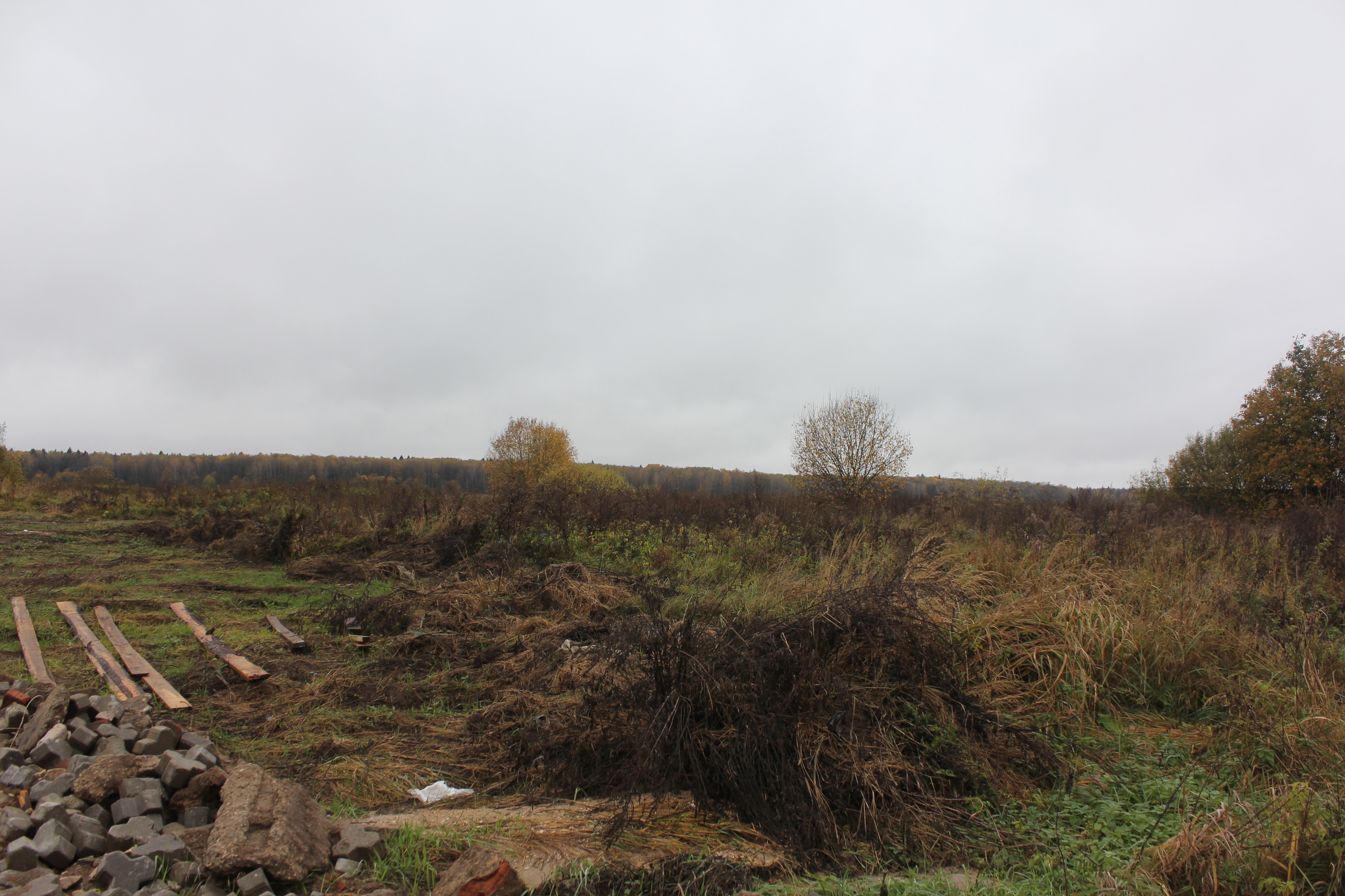 ГП16949215.Земельный участок.Общий вид объекта_10.jpg