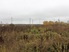 ГП16949215.Земельный участок.Общий вид объекта_10.jpg