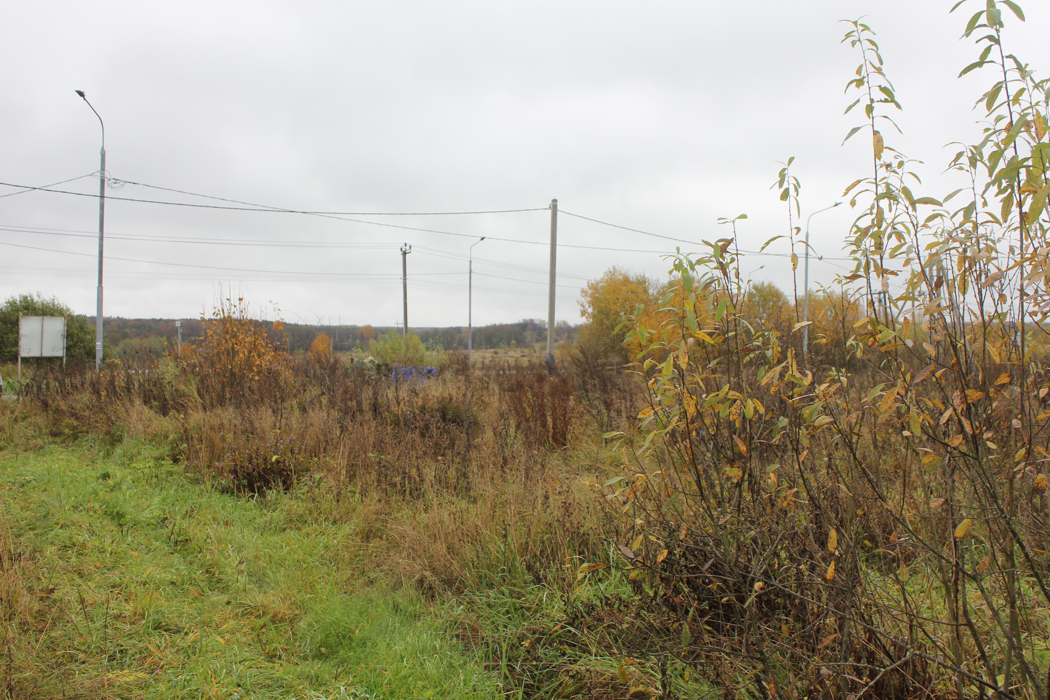 ГП16949215.Земельный участок.Общий вид объекта_10.jpg