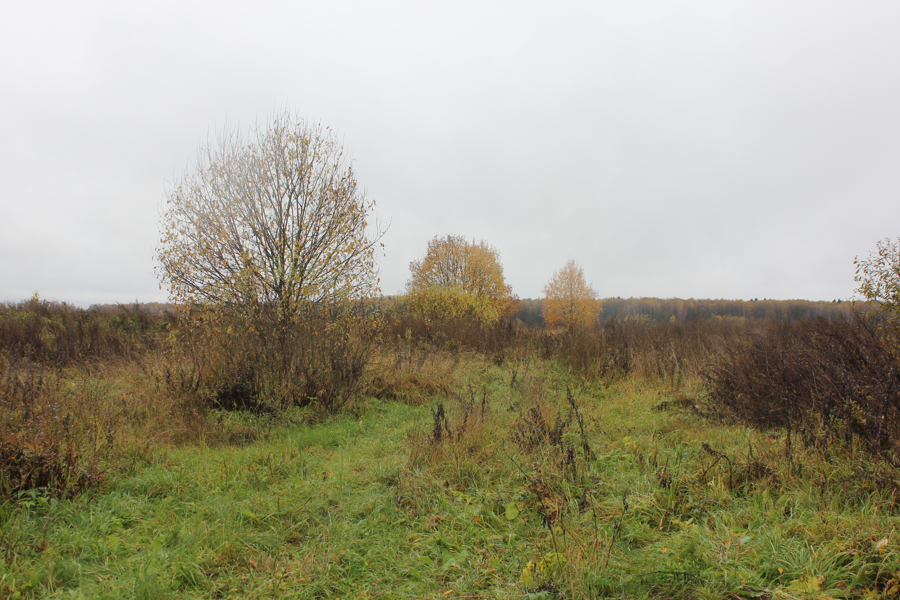 ГП16949215.Земельный участок.Общий вид объекта_10.jpg