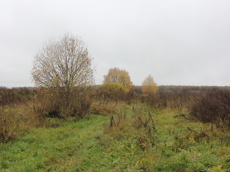 ГП16949215.Земельный участок.Общий вид объекта_10.jpg