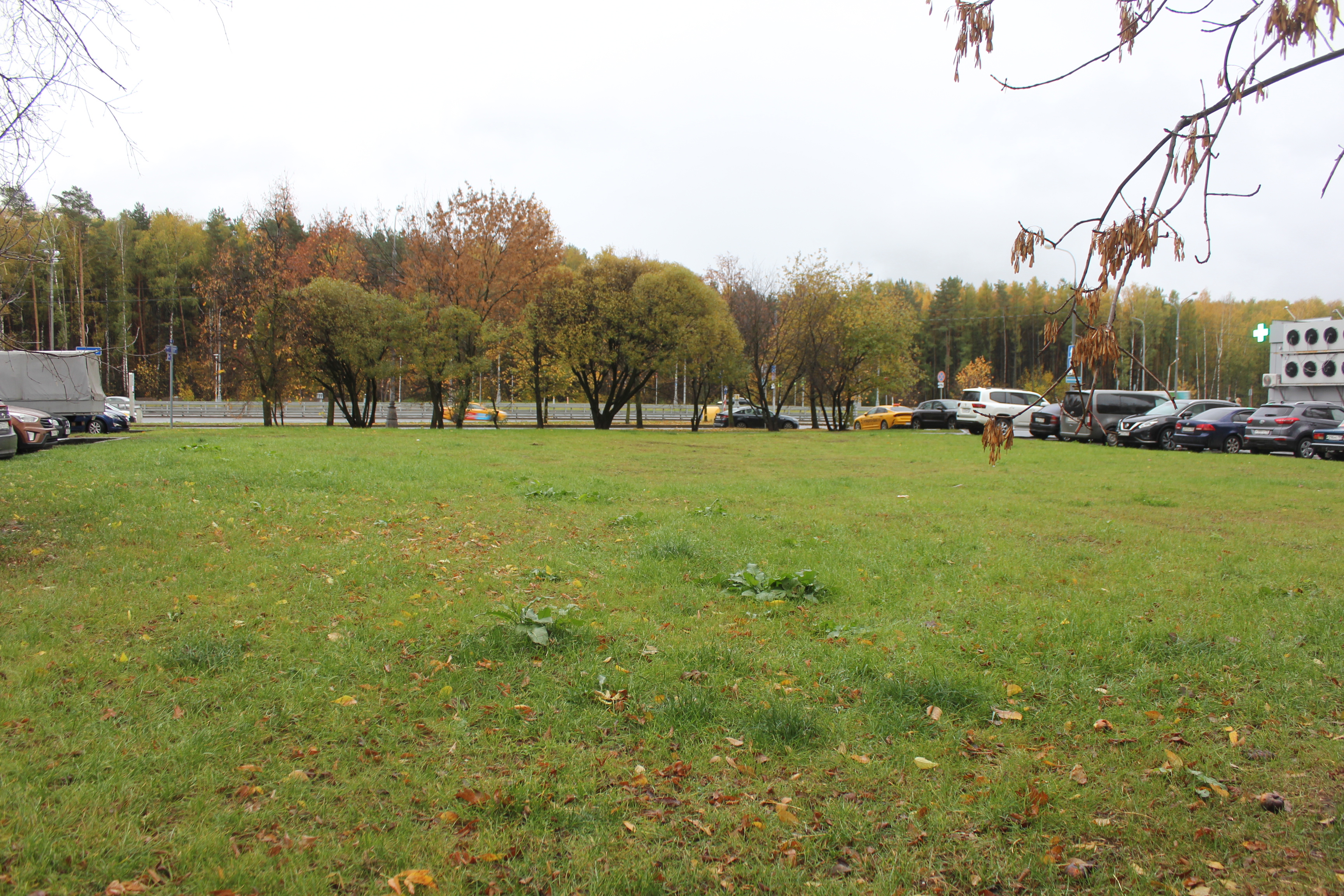 ГП16974388.Земельный участок.Общий вид объекта_9.jpg