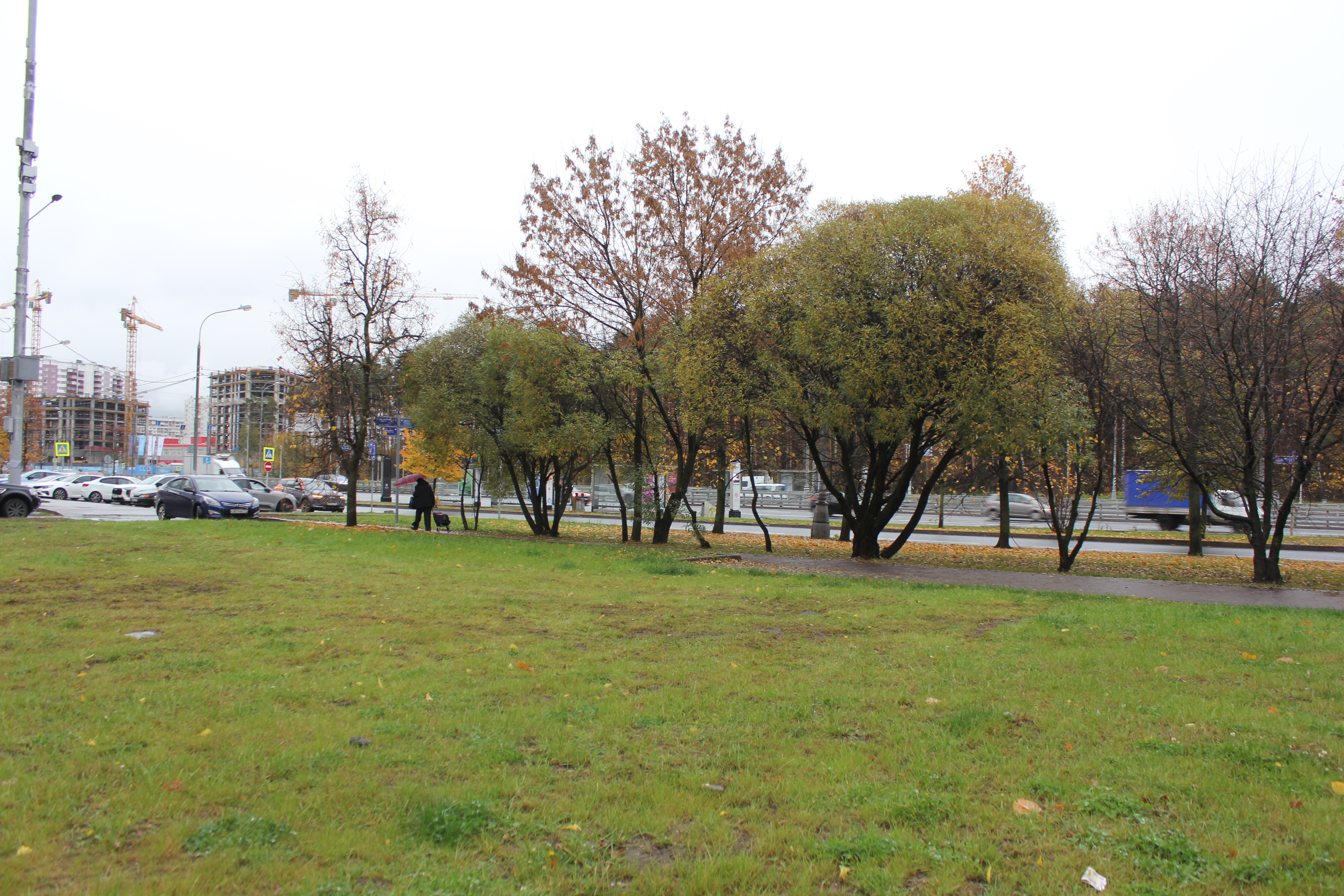 ГП16974388.Земельный участок.Общий вид объекта_6.jpg