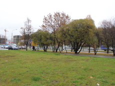 ГП16974388.Земельный участок.Общий вид объекта_6.jpg