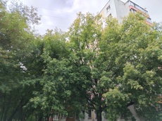 ГП16967598.Квартира.Общий фасад здания_2.jpg