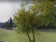 ГП16963511.Некапитальный объект.Общий вид объекта_4.jpeg