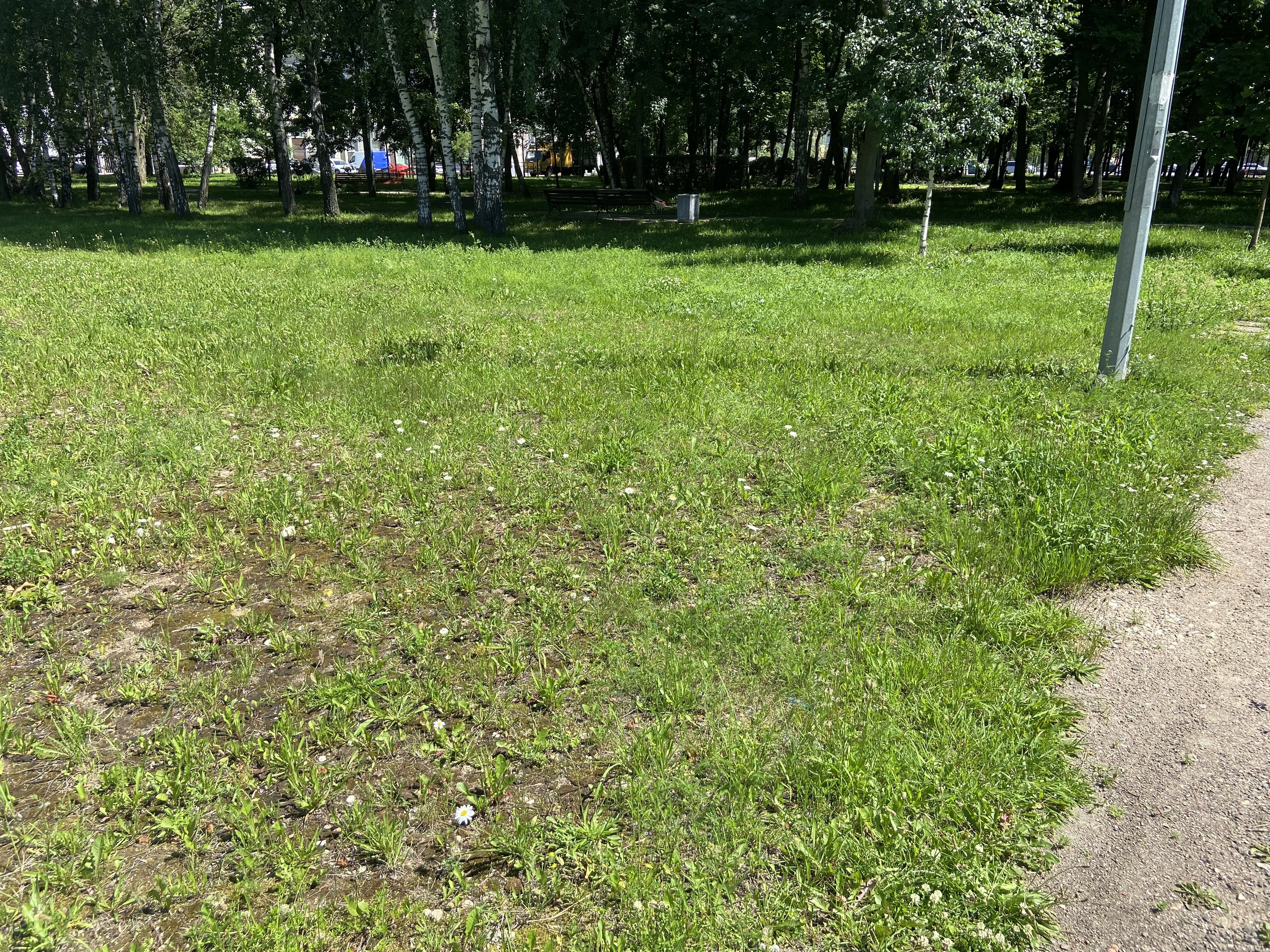 ГП16963511.Некапитальный объект.Общий вид объекта_8.jpeg