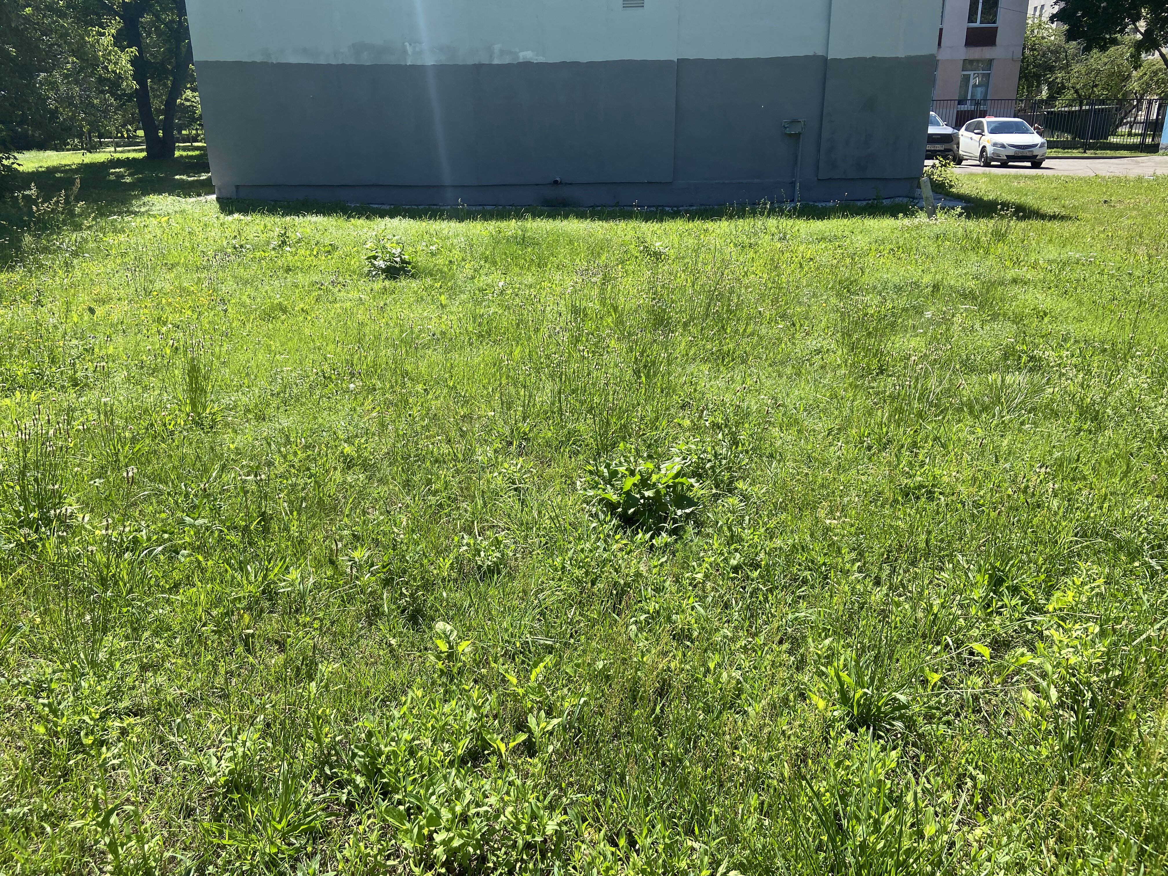 ГП16963511.Некапитальный объект.Общий вид объекта_6.jpeg