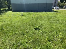 ГП16963511.Некапитальный объект.Общий вид объекта_6.jpeg