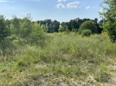 ГП16936956.Некапитальный объект.Общий вид объекта_6.jpeg