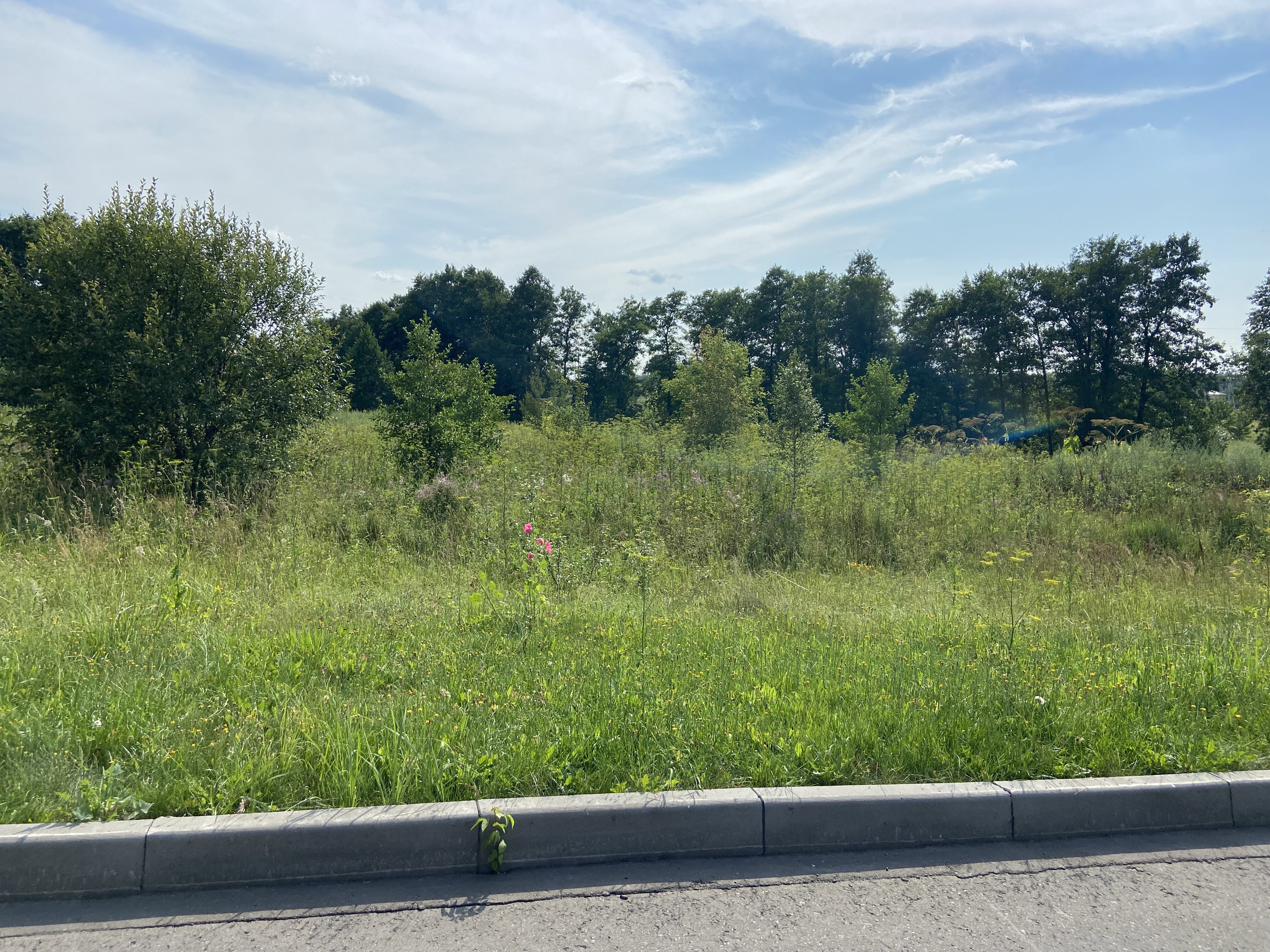 ГП16936956.Некапитальный объект.Общий вид объекта_8.jpeg