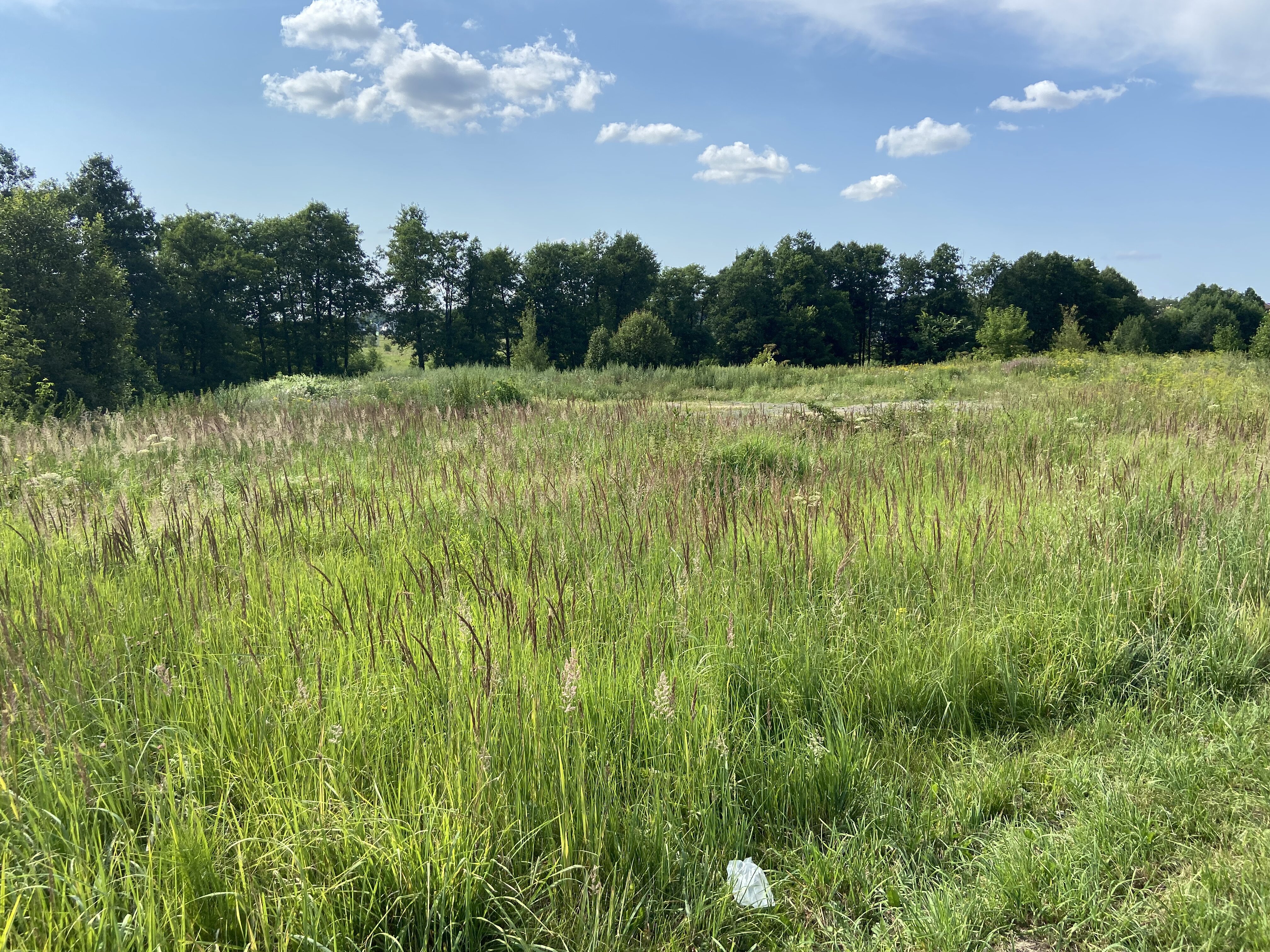 ГП16936956.Некапитальный объект.Общий вид объекта.jpeg