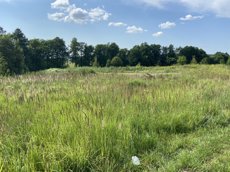 ГП16936956.Некапитальный объект.Общий вид объекта.jpeg