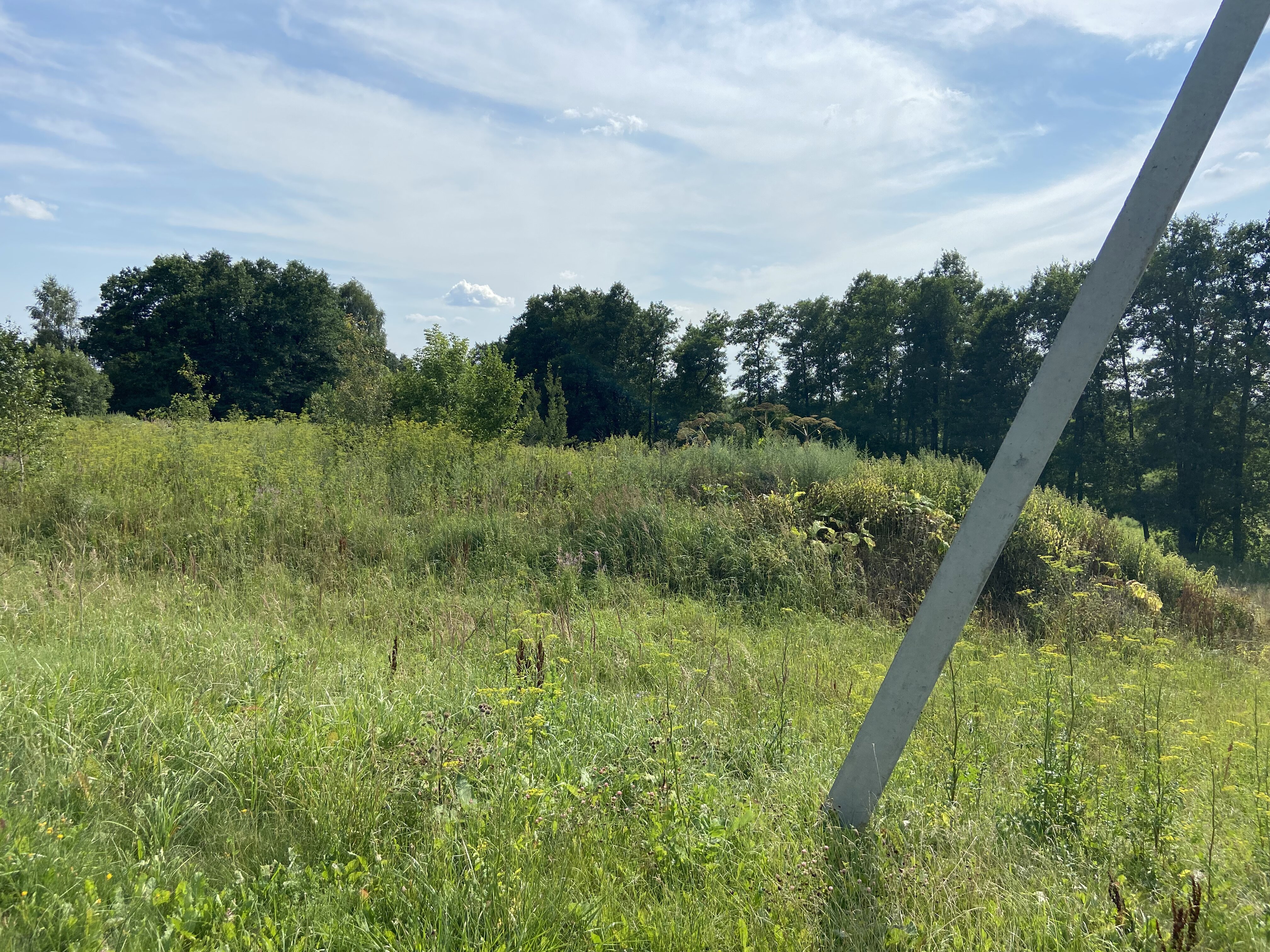 ГП16936956.Некапитальный объект.Общий вид объекта_9.jpeg