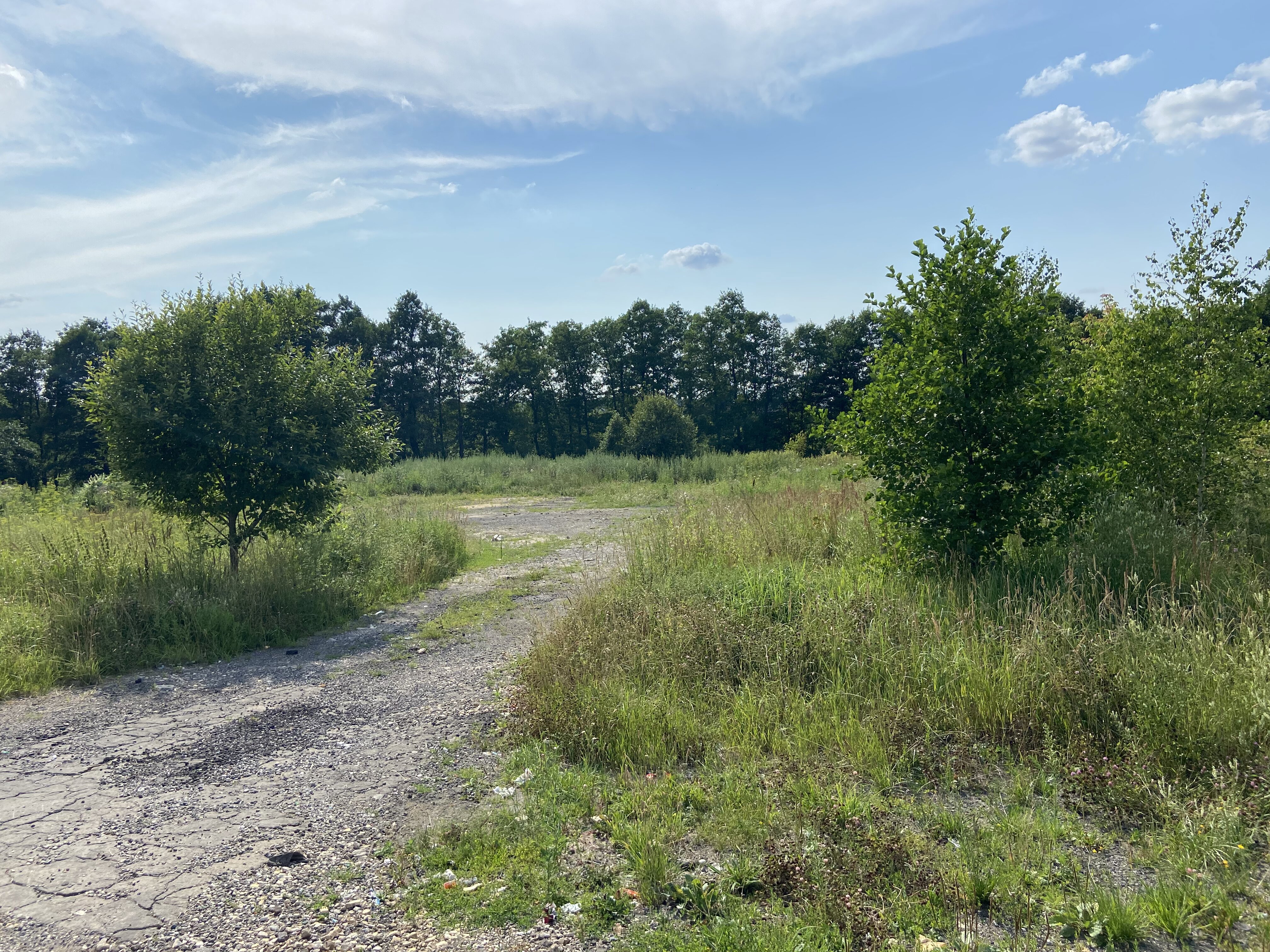 ГП16936956.Некапитальный объект.Общий вид объекта_7.jpeg