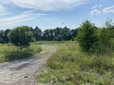 ГП16936956.Некапитальный объект.Общий вид объекта_7.jpeg