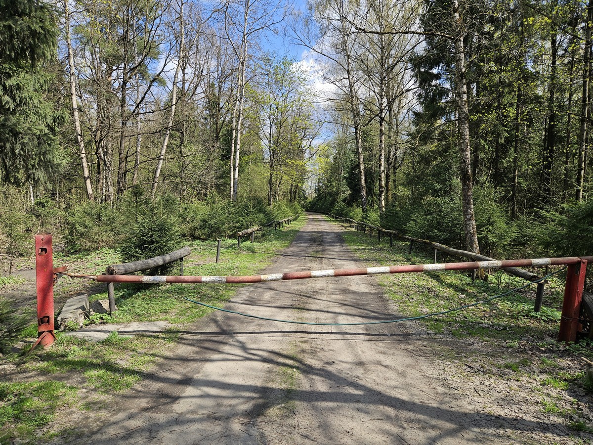 ГП16961982.Здание.Подъездные пути_4.jpg