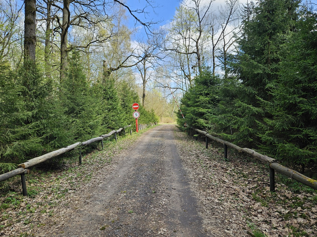 ГП16961982.Здание.Подъездные пути_5.jpg