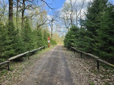 ГП16961982.Здание.Подъездные пути_5.jpg