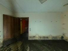 ГП16946152.Нежилое помещение.Каждое помещение_комната, входящее в состав реализуемого объекта _4.jpg