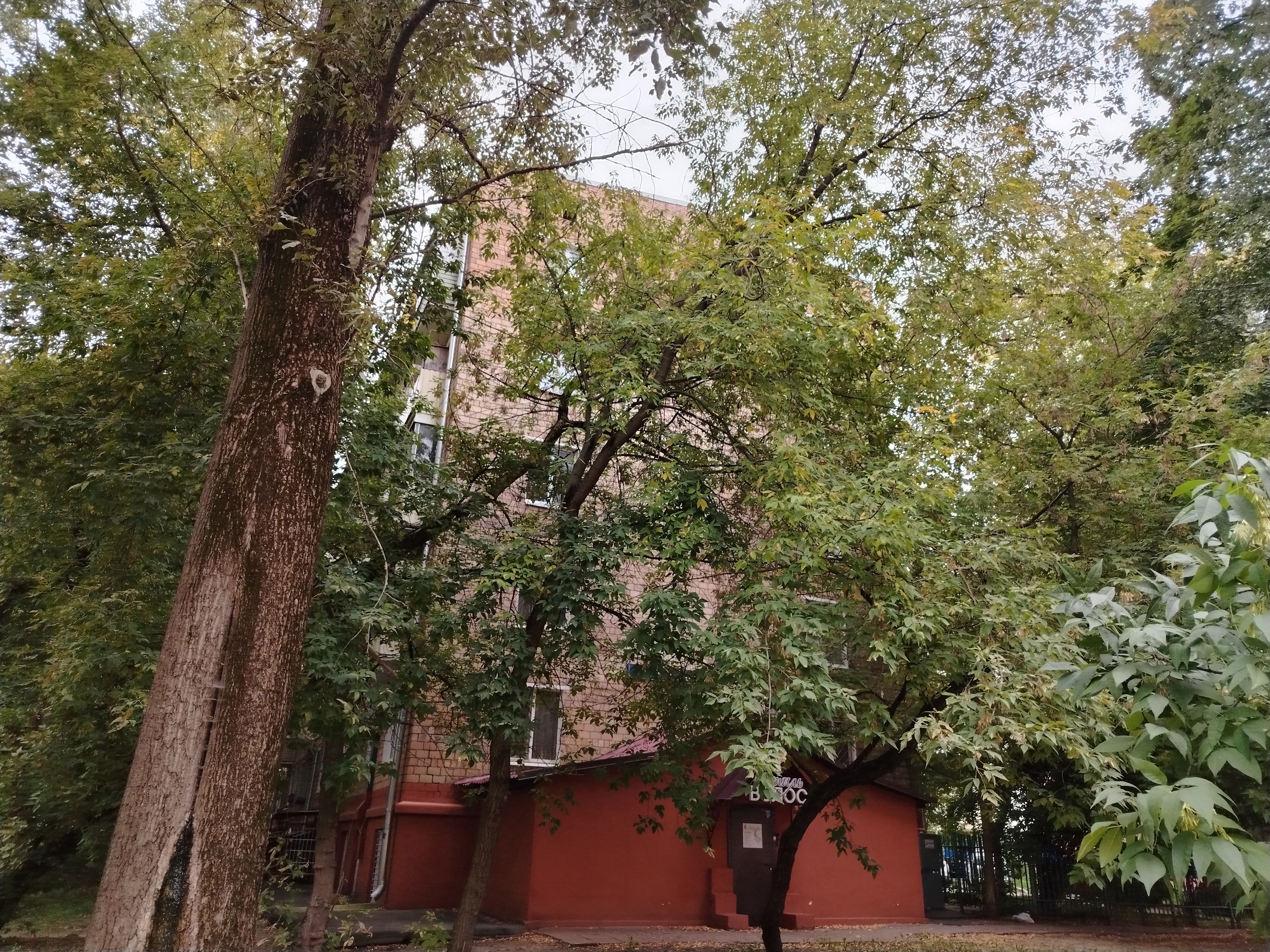 ГП16946152.Нежилое помещение.Общий фасад здания_4.jpg