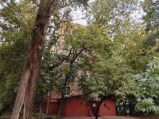 ГП16946152.Нежилое помещение.Общий фасад здания_4.jpg